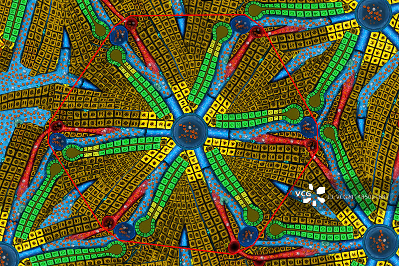 肝小叶图示图片素材