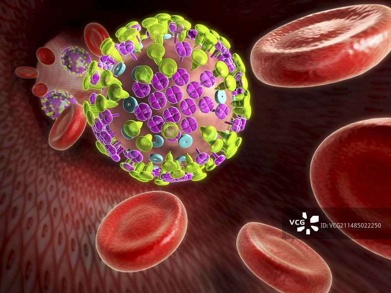 流感病毒示意图图片素材