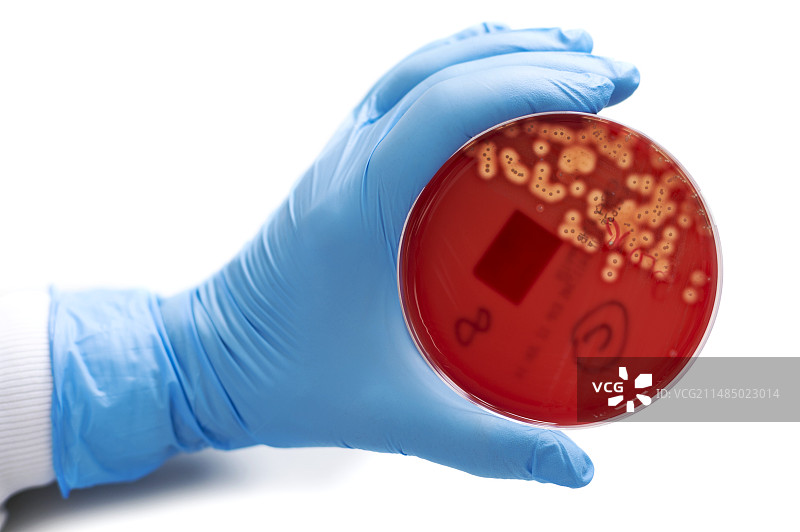 奇比卡河上的涵洞隧道图片素材