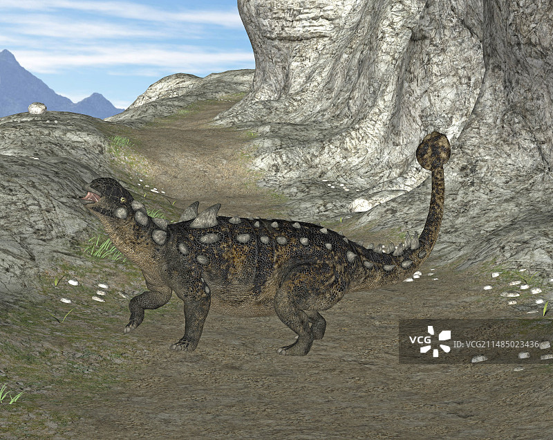 结节头龙图片素材