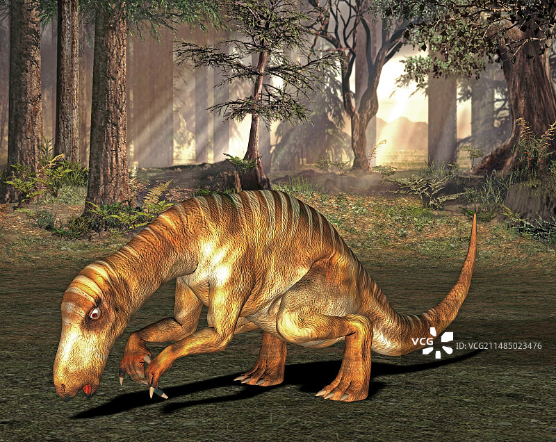 禽龙插画图片素材