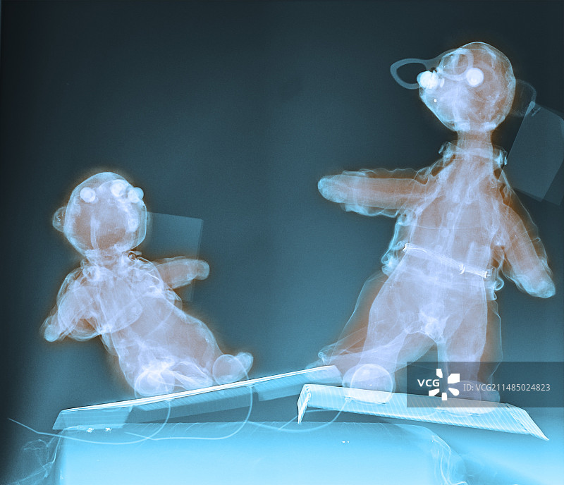 玩具动物X光片图片素材