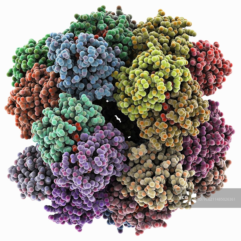 血红蛋白分子模型图片素材