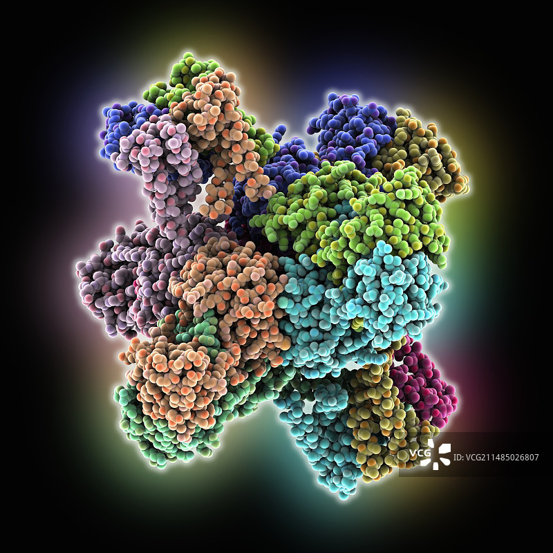 钙激活钾通道图片素材