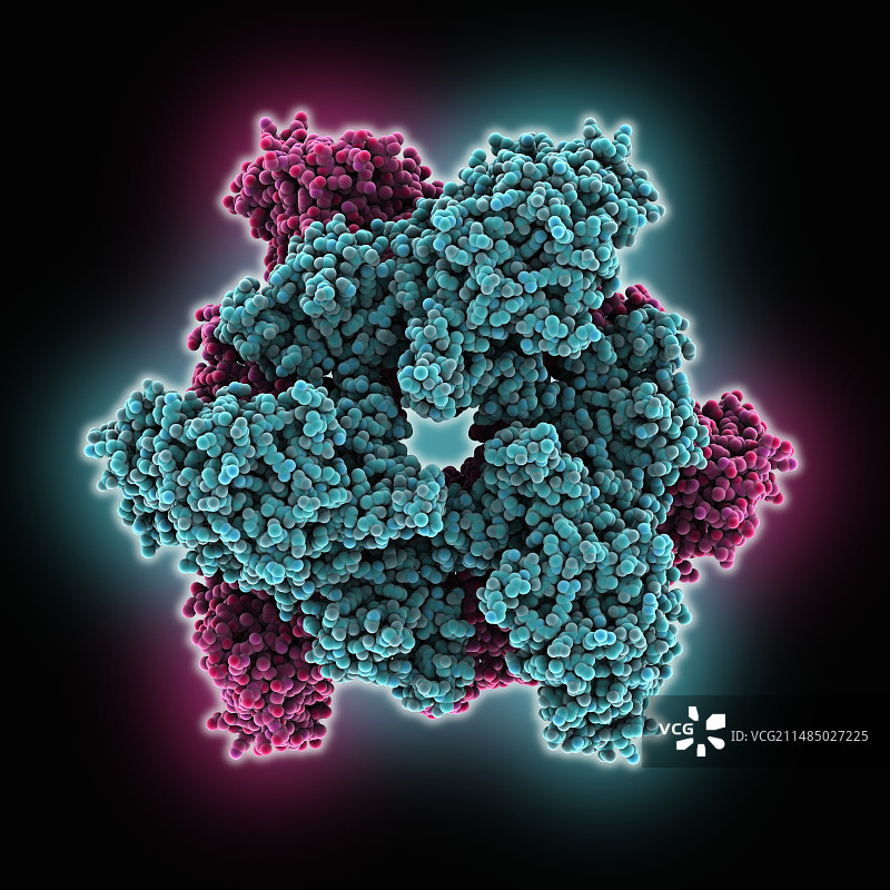 ATP硫酸化酶分子图片素材