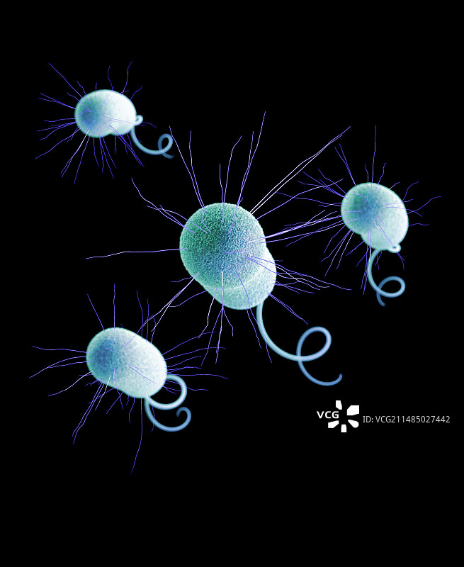 耐药性假单胞菌图片素材