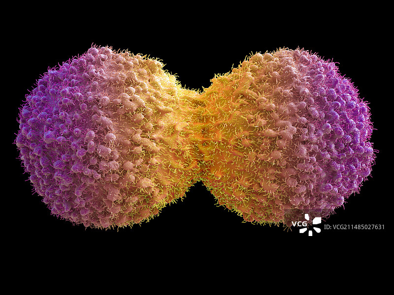 癌细胞分裂插图图片素材
