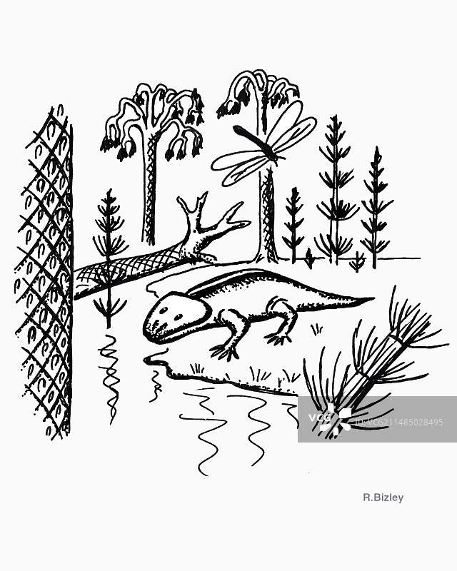 石炭纪插画图片素材