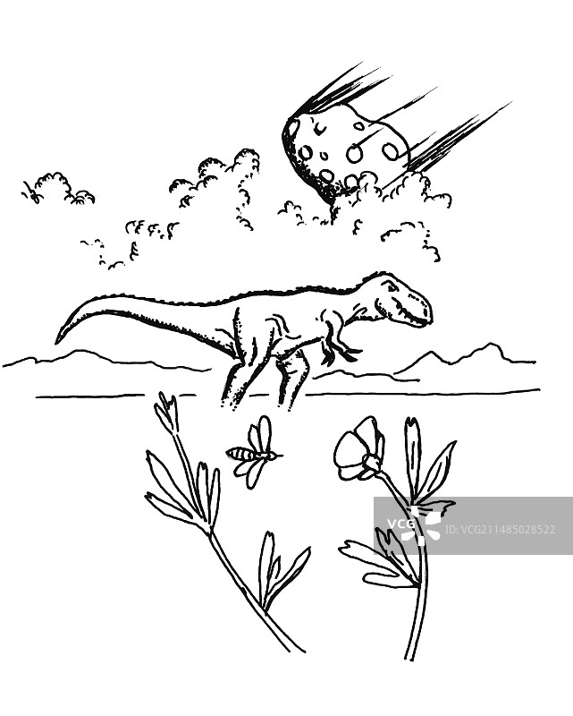 霸王龙、小行星和授粉，艺术作品图片素材