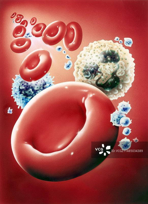 血细胞艺术作品图片素材