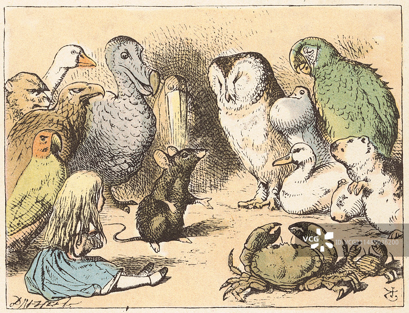 爱丽丝梦游仙境插画图片素材