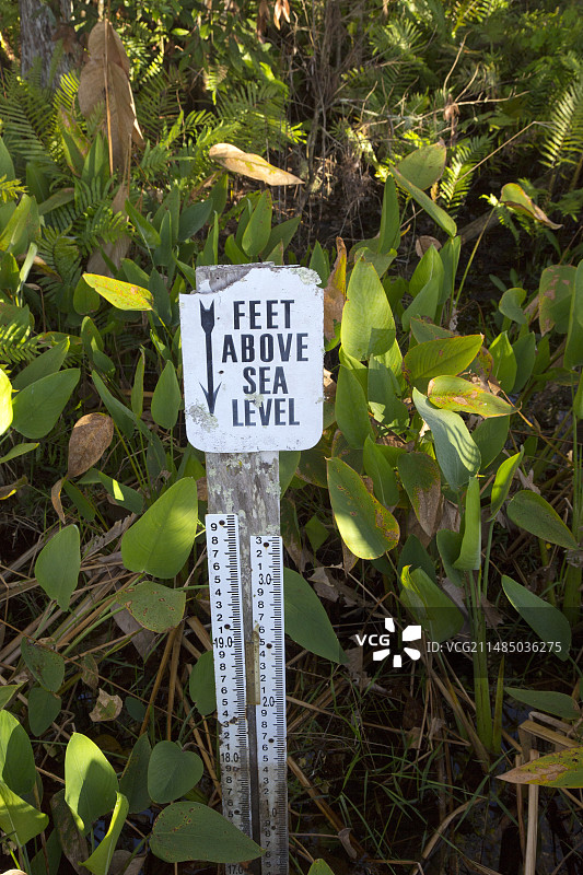 海平面指示器图片素材