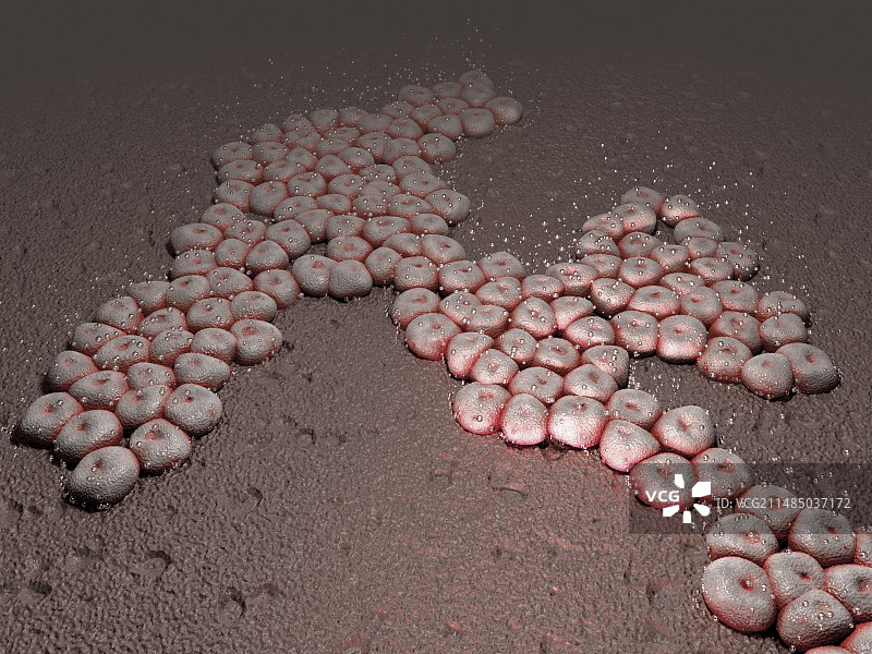 鲍曼不动杆菌细菌艺术作品图片素材