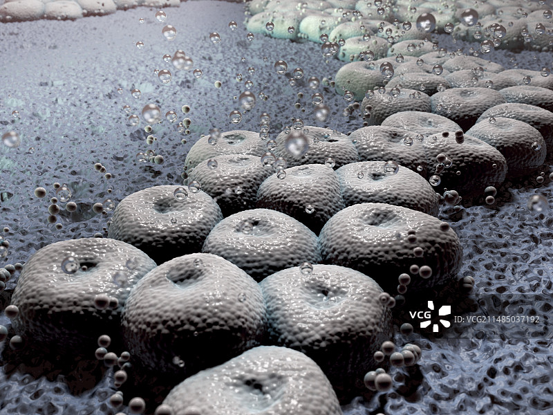 鲍曼不动杆菌细菌艺术作品图片素材