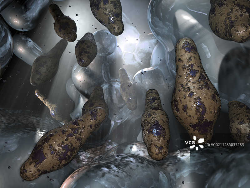 梭菌细菌艺术图图片素材