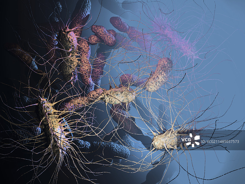 肺炎克雷伯菌，艺术作品图片素材