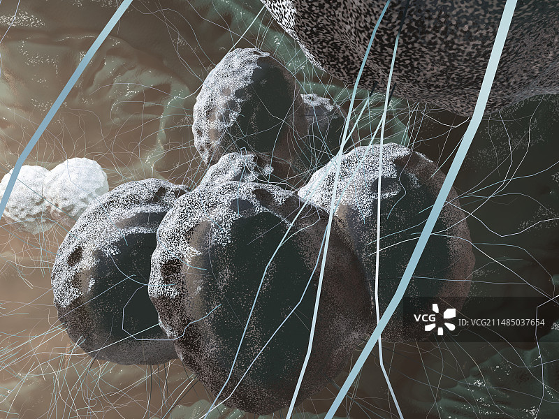 淋病奈瑟菌细菌，艺术作品图片素材