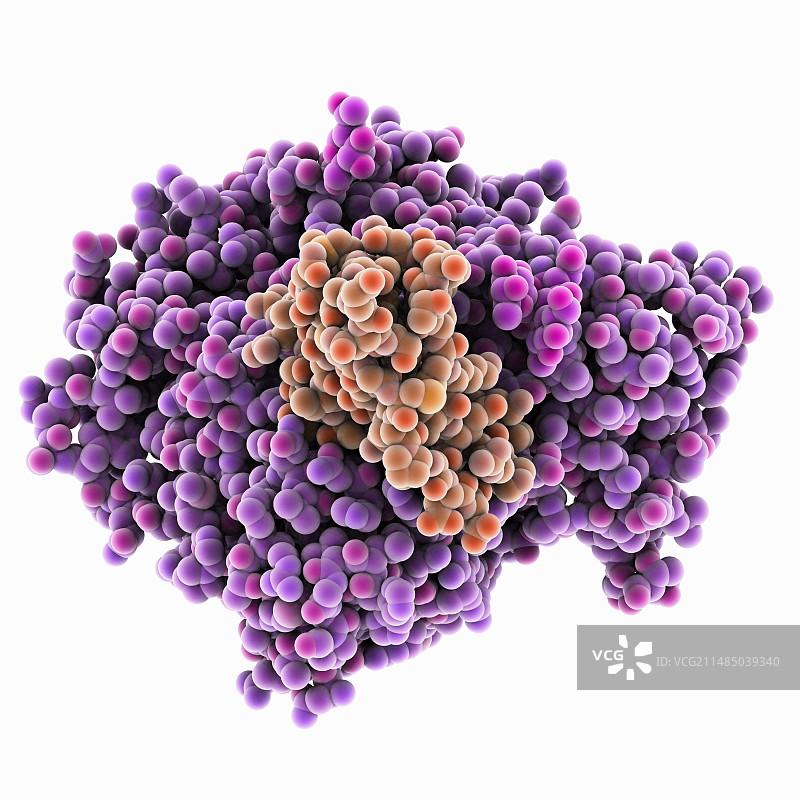 乙酰胆碱酯酶和抑制剂图片素材