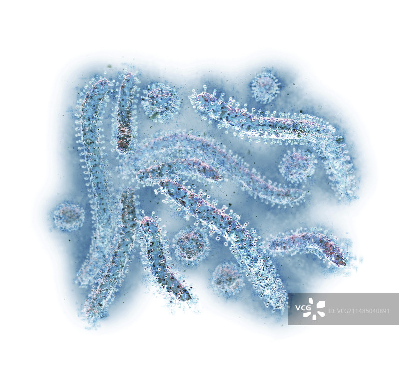 乙型肝炎病毒颗粒图片素材