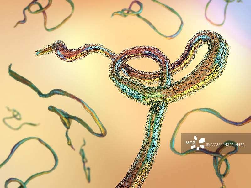 埃博拉病毒颗粒艺术图图片素材