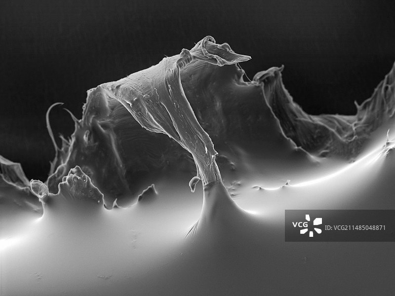 贴膏,扫描电镜图片素材