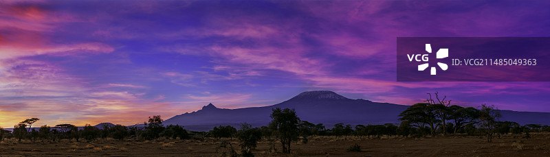 乞力马扎罗山上的黎明图片素材