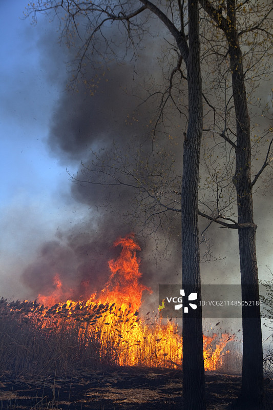 受控火灾图片素材