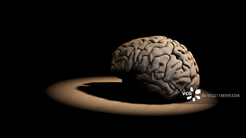 大脑，艺术作品图片素材