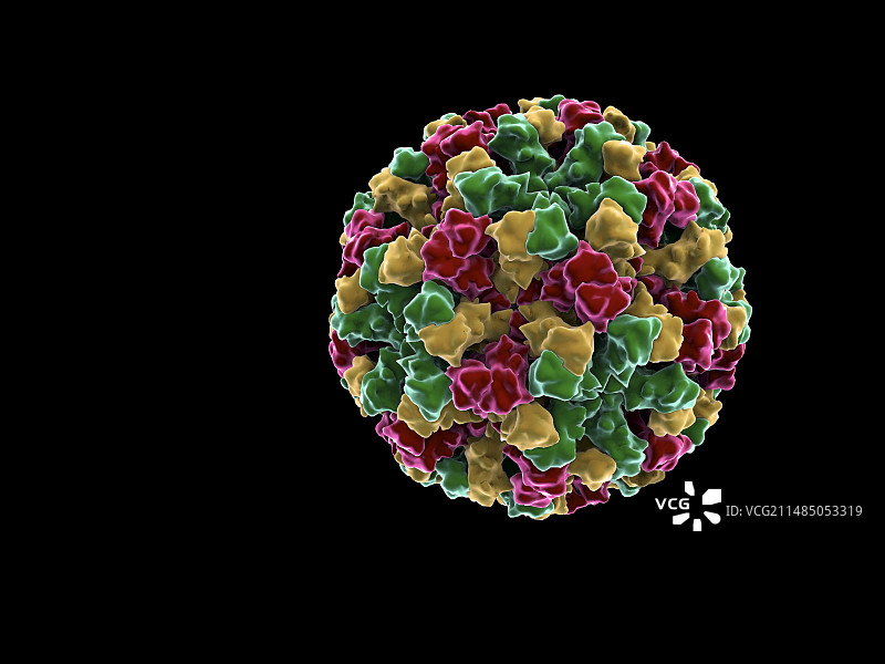 诺如病毒颗粒，艺术作品图片素材