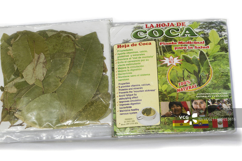来自秘鲁的古柯叶图片素材