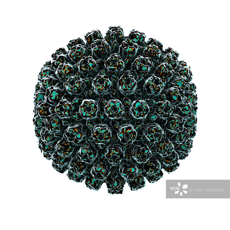 1型单纯疱疹病毒图片素材