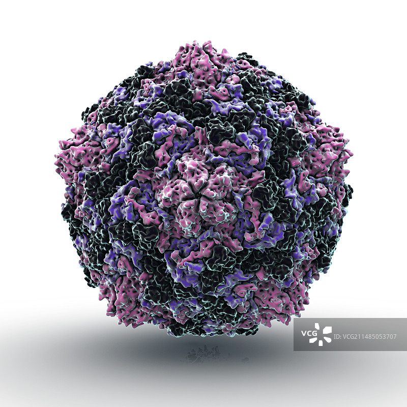 柯萨奇病毒颗粒，艺术作品图片素材