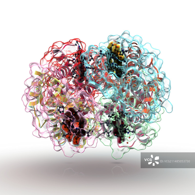 血红蛋白分子艺术图图片素材