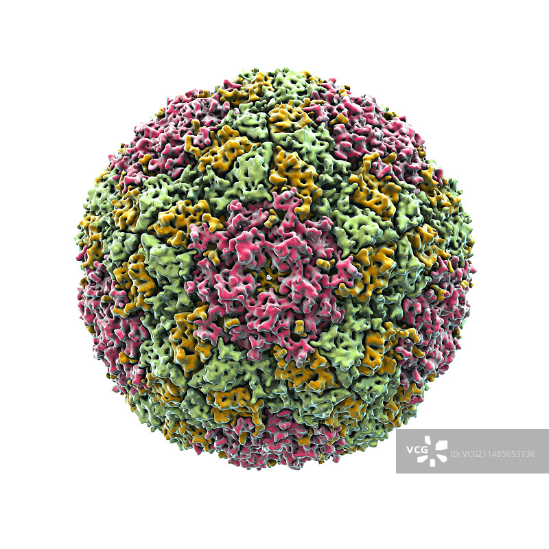 口蹄疫病毒颗粒图片素材