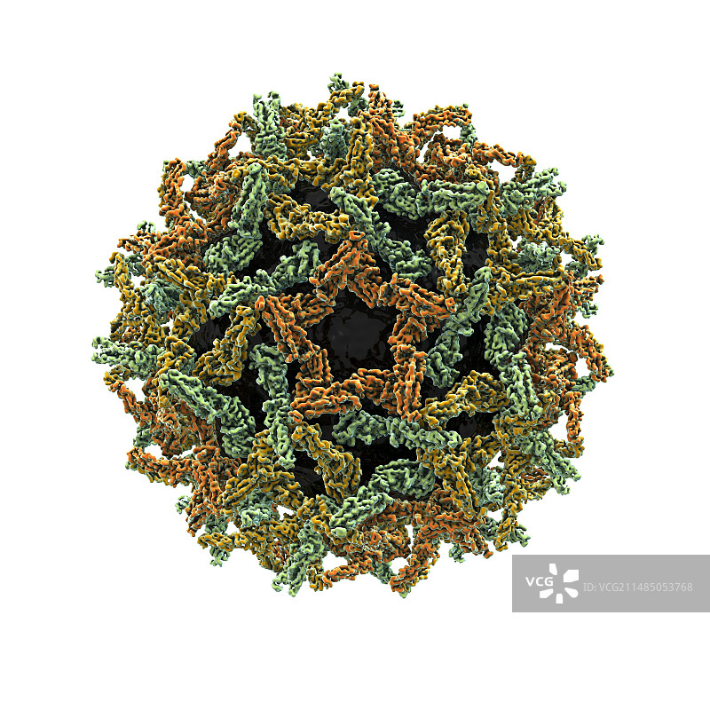 黄热病病毒颗粒图片素材