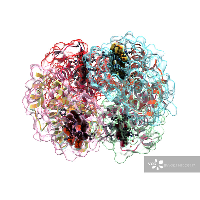 血红蛋白分子艺术图图片素材