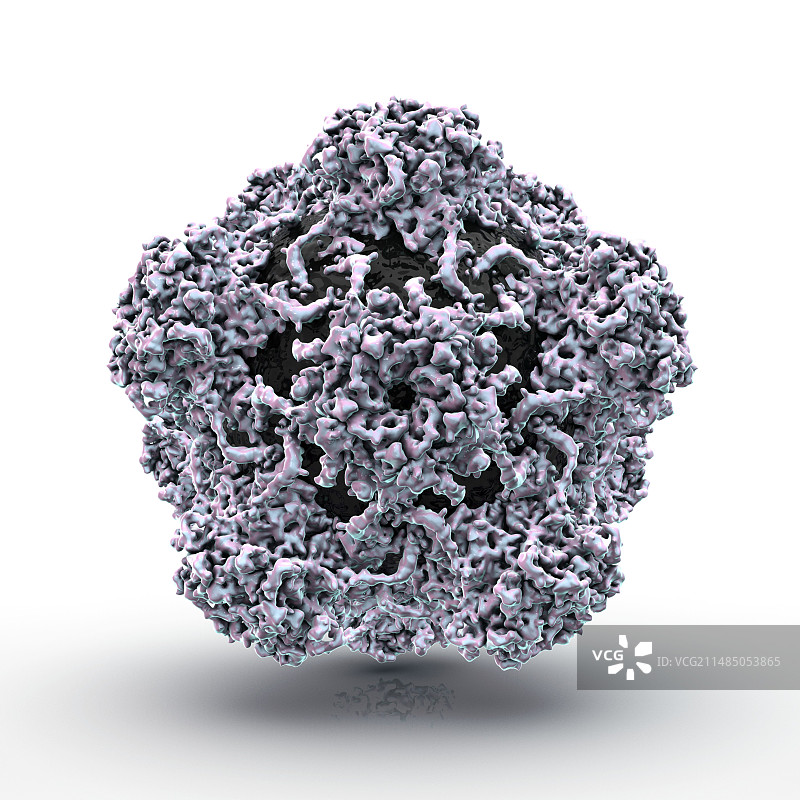 人乳头瘤病毒颗粒，艺术作品图片素材