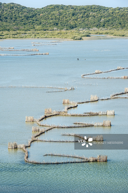 科济湾的鱼笼图片素材