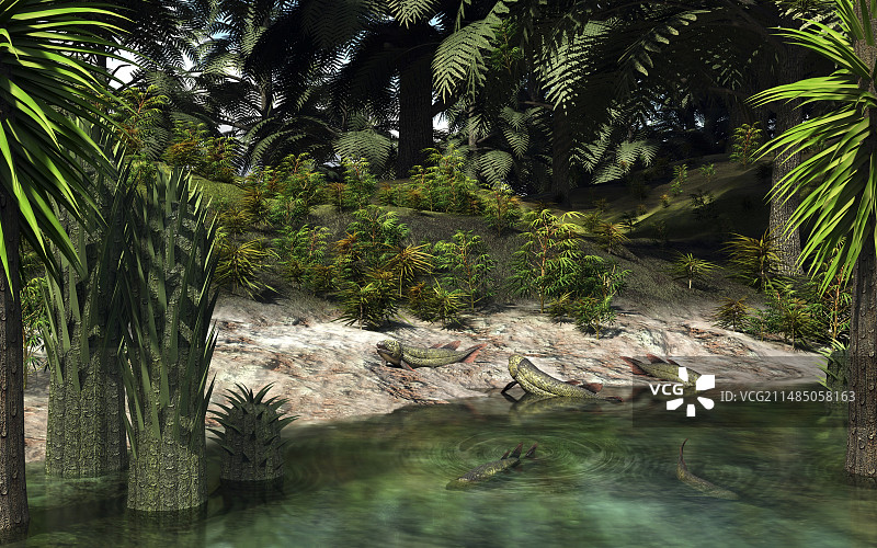 上岸的迪普特鲁斯肺鱼艺术作品图片素材