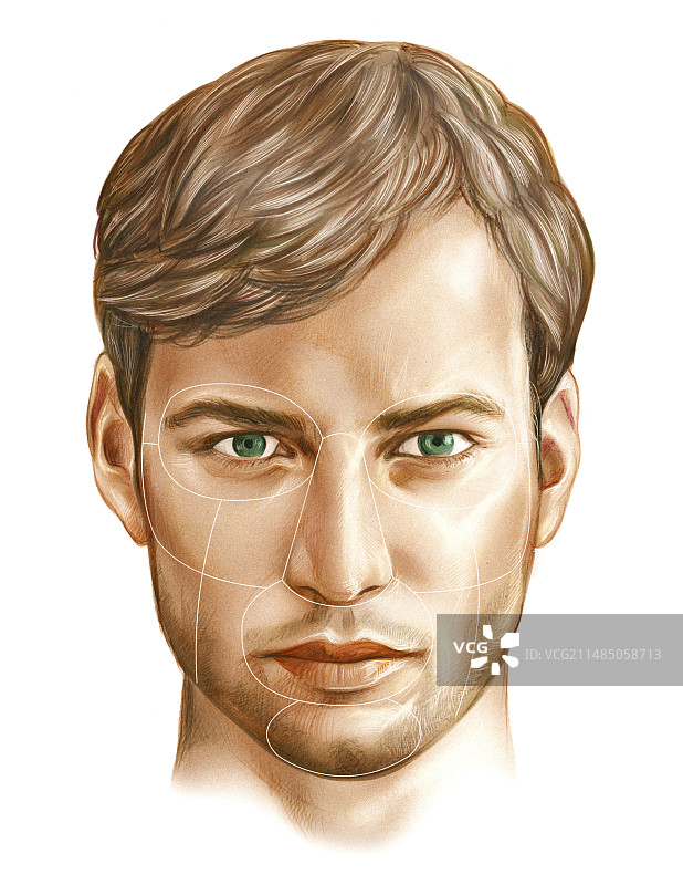 男性头部正面图图片素材