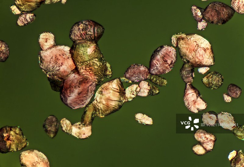 红酒中的酒石酸氢钾晶体，LM图片素材