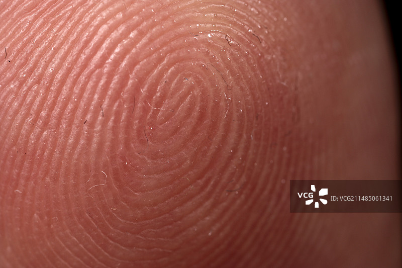 人手指纹特写图片素材