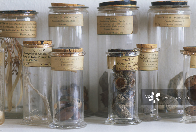旧植物标本罐图片素材