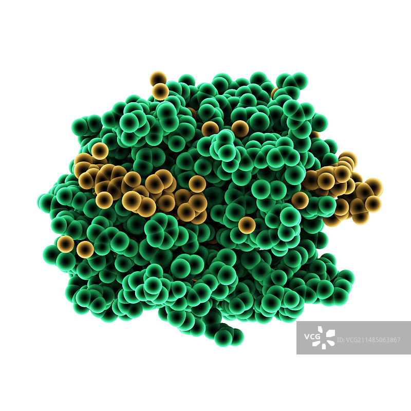 弹性蛋白酶分子图片素材