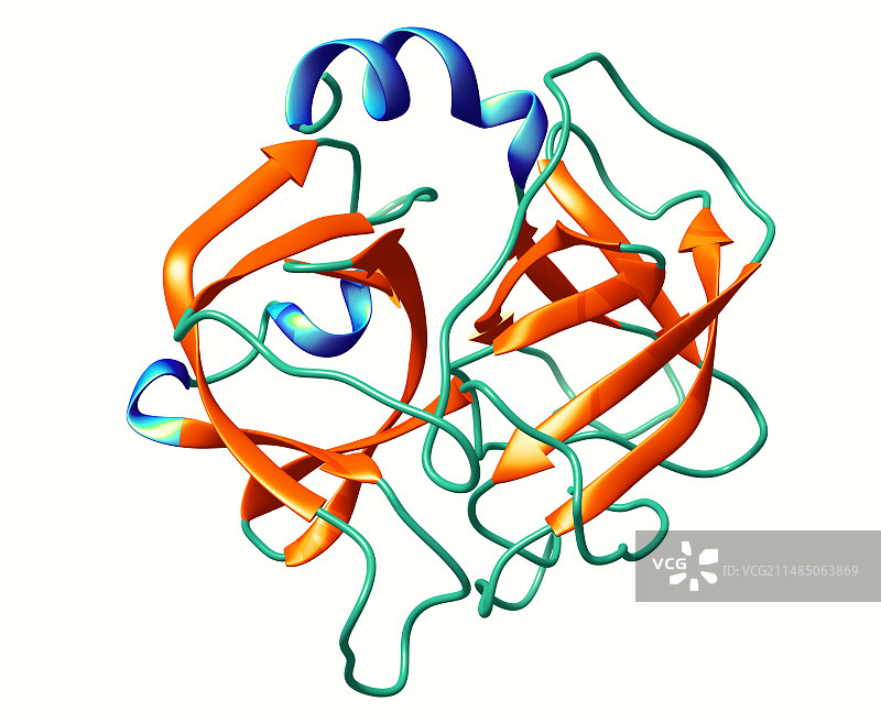 弹性蛋白酶分子图片素材