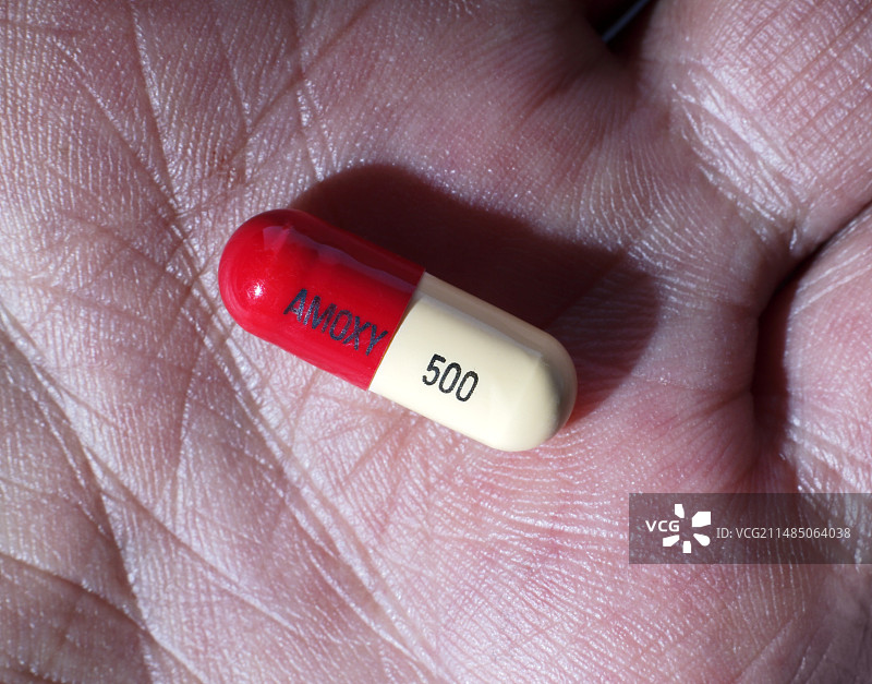 阿莫西林抗生素药物胶囊图片素材