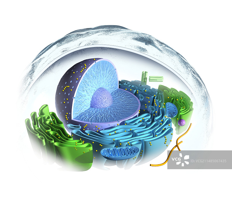 真核细胞艺术图图片素材