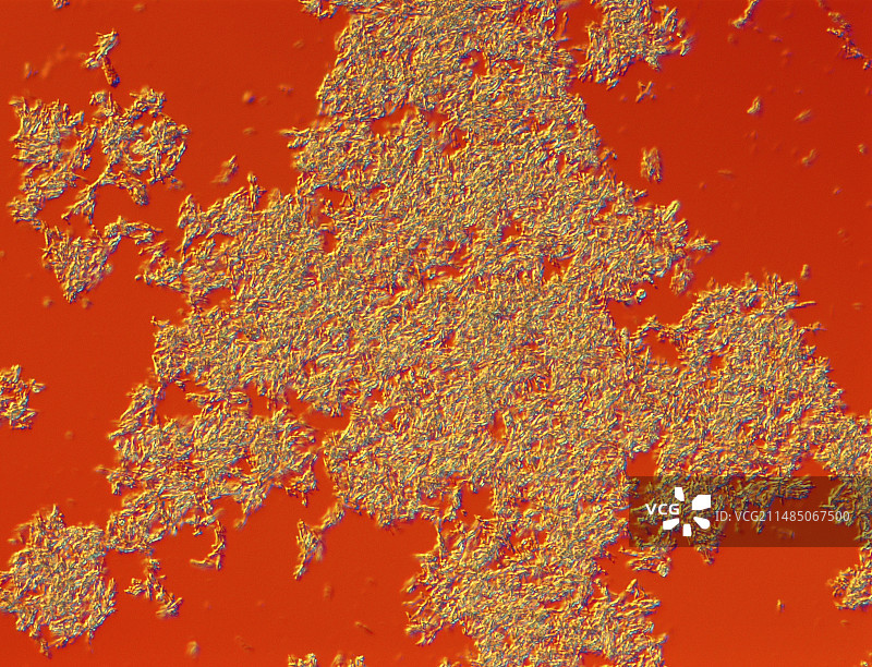 胰岛素晶体，LM图片素材