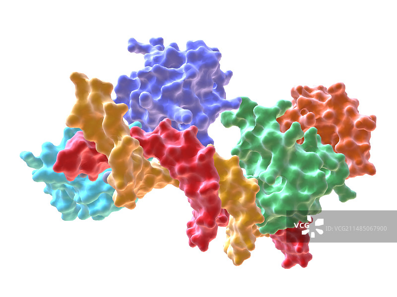 RNA聚合酶α C端结构域图片素材