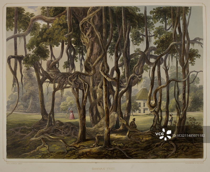 加尔各答及其周边环境景观图片素材